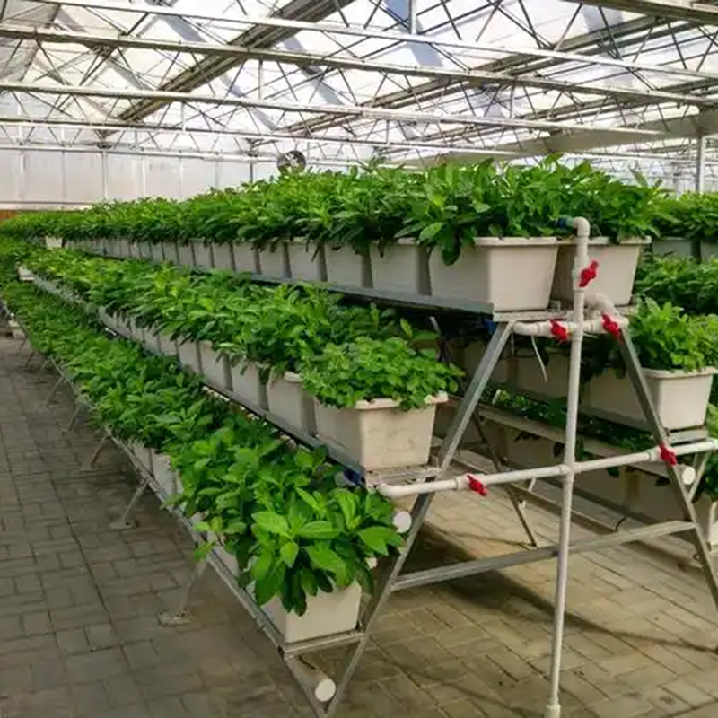 临汾市植物工厂温室大棚 - 推荐