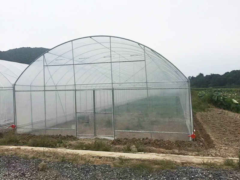 临汾市薄膜大棚空中草莓 - 推荐